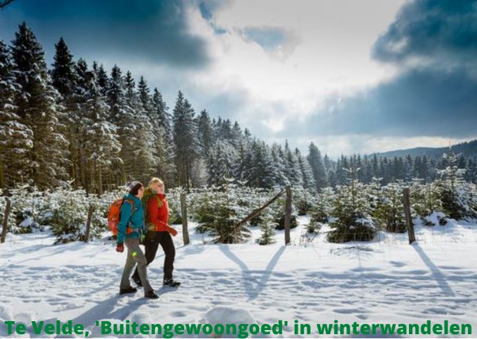 te velde wintersport blog en meer ga je een winter wandelvakantie doen lees dan deze 5 tips