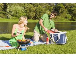 11-3-campingaz-party-grill-cv-with-carry-bag-203404-3