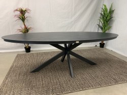 te-velde-tuinmeubelen-rhino-ovale-tuintafel-240-tevrhinotaf240