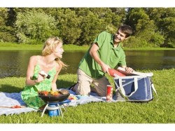 campingaz-party-grill-cv-with-carry-bag-203404-3